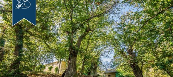 9 bedrooms Villa in Sassetta, Italy No. 331191 11