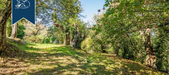 9 bedrooms Villa in Sassetta, Italy No. 331191 12