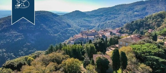 9 bedrooms Villa in Sassetta, Italy No. 331191 42