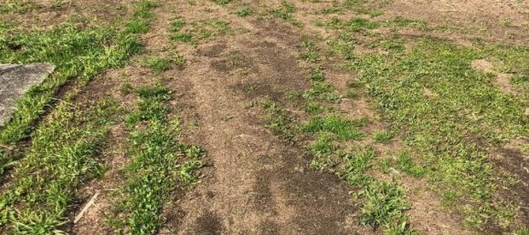 Villa de 7 divisões em Massa, Italy N.º 125965 14