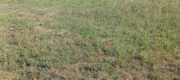 2481m² Land in Cantabria, Spain No. 184447 5