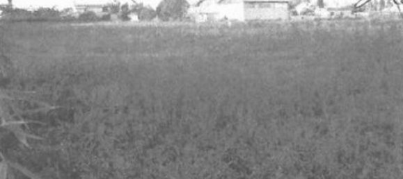 7غرفة شقة في Nettuno, Italy رقم 190338 6