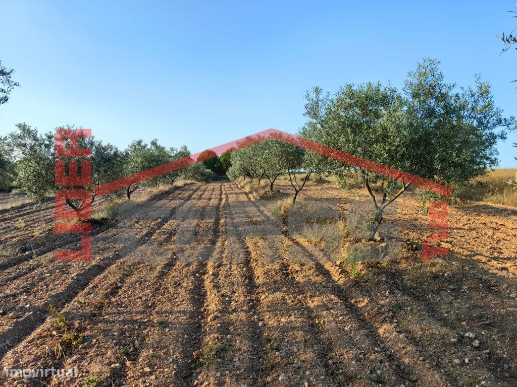 6950m² Land in Passos, Portugal No. 225085