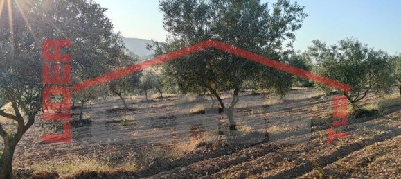 Grundstück in Passos, Portugal 6950m², Nr. 225085 5