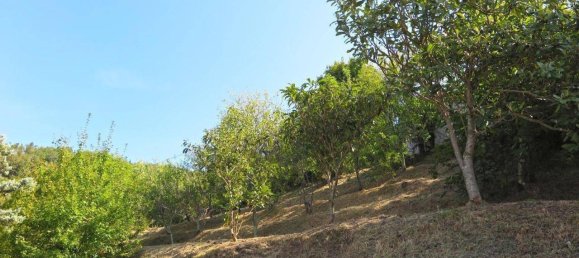 14 rooms Villa in Fivizzano, Italy No. 172608 24