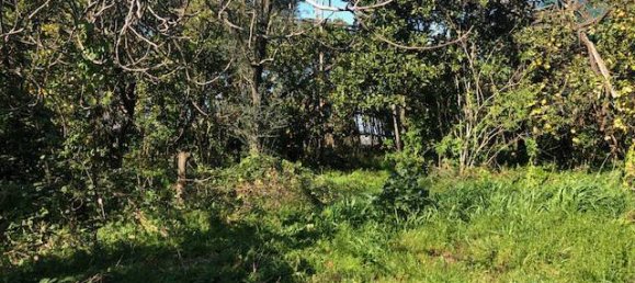 Земельный участок 2400м² в Пьяно ди Сорренто, Италия № 76228 2