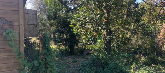 Земельный участок 2400м² в Пьяно ди Сорренто, Италия № 76228 9