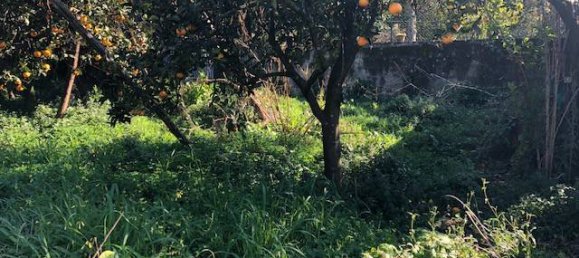 Земельный участок 2400м² в Пьяно ди Сорренто, Италия № 76228 8