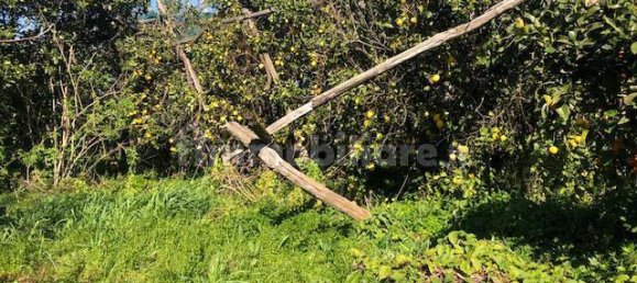 Земельный участок 2400м² в Пьяно ди Сорренто, Италия № 76228 5