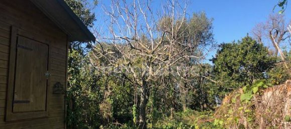 Земельный участок 2400м² в Пьяно ди Сорренто, Италия № 76228 10