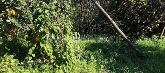 Земельный участок 2400м² в Пьяно ди Сорренто, Италия № 76228 6