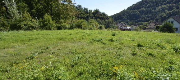  Land in Senftenberg, Austria No. 104488 2