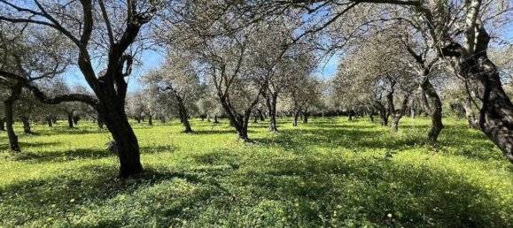 Studio in Sassari, Italy, Nr. 88260 11