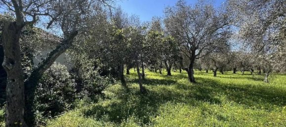 Studio in Sassari, Italy, Nr. 88260 12