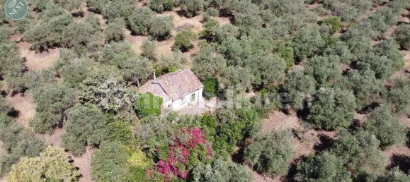 Studio in Sassari, Italy, Nr. 88260 6