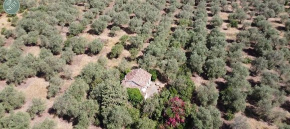 Studio in Sassari, Italy, Nr. 88260 8