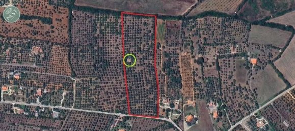 Studio in Sassari, Italy, Nr. 88260 19