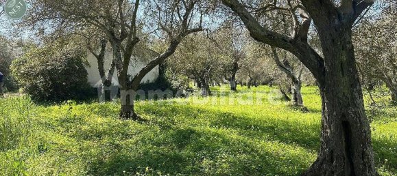 Studio in Sassari, Italy, Nr. 88260 13