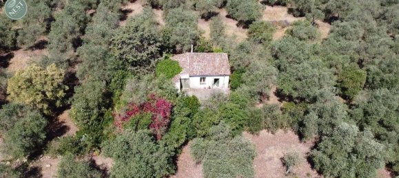 Studio in Sassari, Italy, Nr. 88260 5