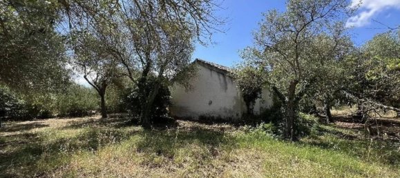 Studio in Sassari, Italy, Nr. 88260 3