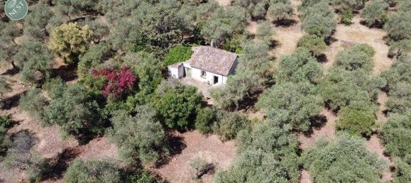 Studio in Sassari, Italy, Nr. 88260 4