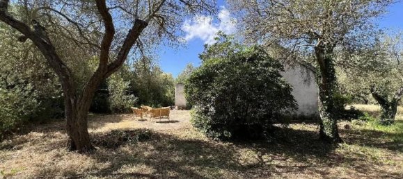 Studio in Sassari, Italy, Nr. 88260 2