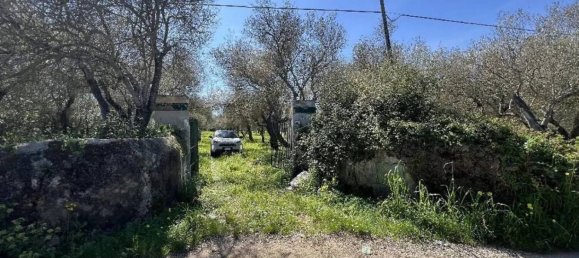 Studio in Sassari, Italy, Nr. 88260 18