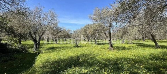 Studio in Sassari, Italy, Nr. 88260 15