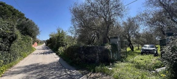 Studio in Sassari, Italy, Nr. 88260 16