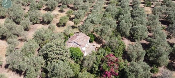 Studio in Sassari, Italy, Nr. 88260 7