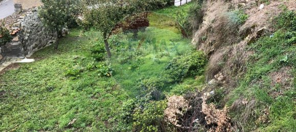 Casa de 4 dormitorios en Aveloso, Portugal No. 30457 5