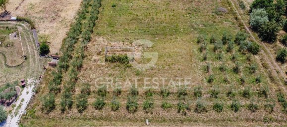 3 bedrooms House in Castiglione del Lago, Italy No. 291148 2