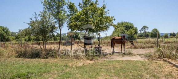 3 bedrooms House in Castiglione del Lago, Italy No. 291148 6