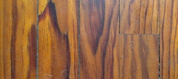 4 bedrooms House in Rion-des-Landes, France No. 307406 16