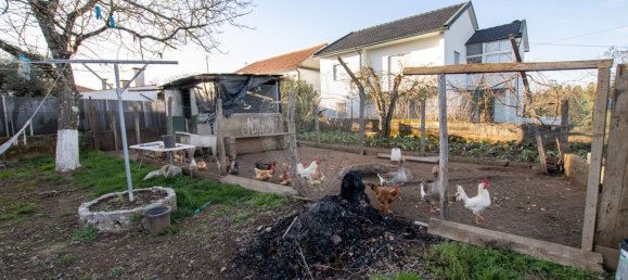 5 Schlafzimmer Haus in Satao, Portugal, Nr. 186062 24