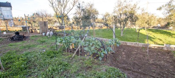 5 Schlafzimmer Haus in Satao, Portugal, Nr. 186062 23