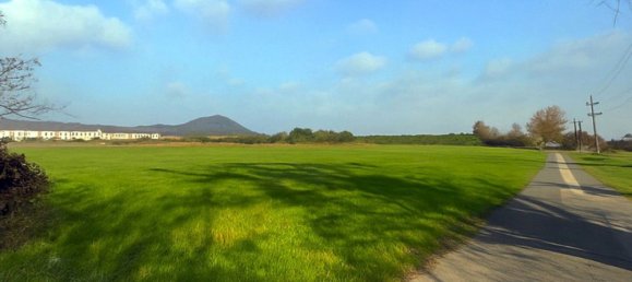 Land in Gumpoldskirchen, Austria No. 257407 3