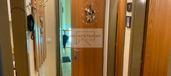 Studio in Strassburg, Austria No. 224535 2