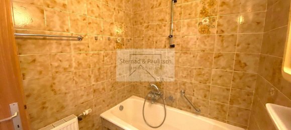 Studio in Strassburg, Austria No. 224535 8