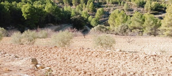 Дом с 6 спальнями в Селла, Испания № 133862 22