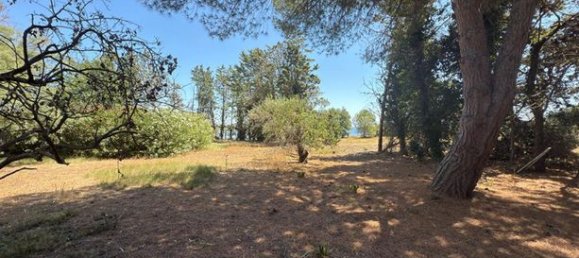 Villa T4 em Meze, France N.º 279989 16