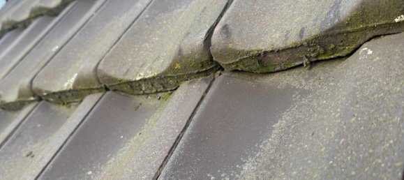 3غرفة تاون هاوس في Duisburg, Germany رقم 276256 36