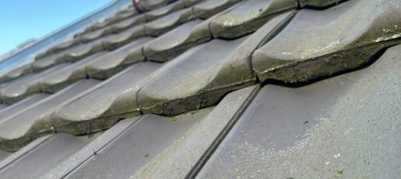 3غرفة تاون هاوس في Duisburg, Germany رقم 276256 37