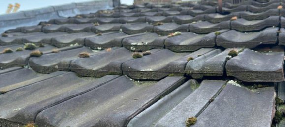 3غرفة تاون هاوس في Duisburg, Germany رقم 276256 24