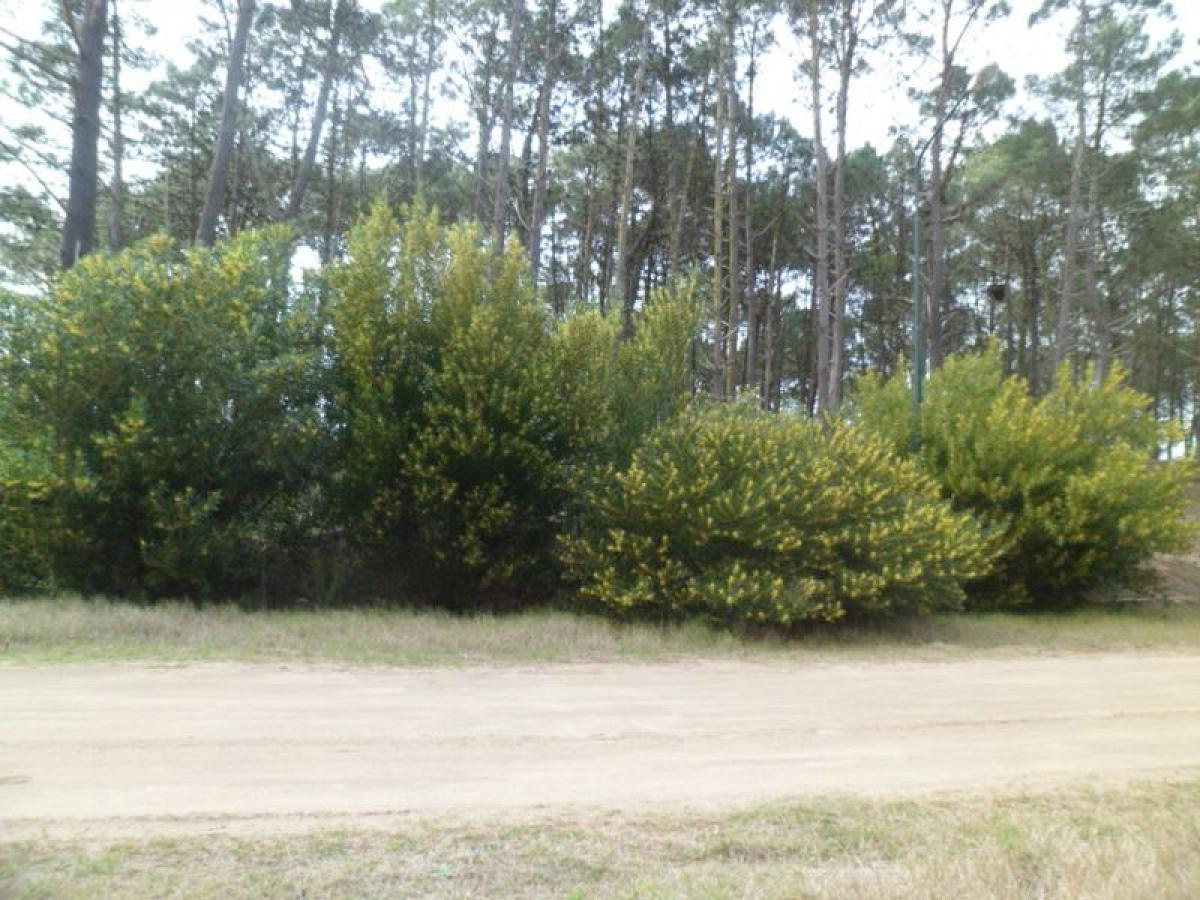  Land in Mar del Plata, Argentina No. 113374