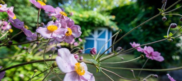Moradia em banda de 5 divisões em Monchengladbach, Germany N.º 303729 14