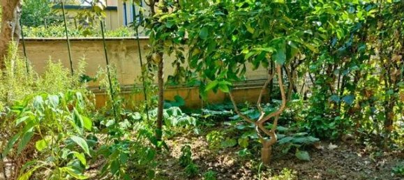 4 bedrooms House in Cologno Monzese, Italy No. 326556 5