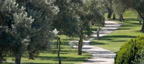  House in La Sella, Spain No. 284742 19