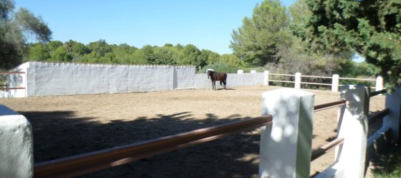  House in La Sella, Spain No. 284742 15