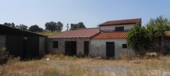 5 bedrooms House in Sarzedas, Portugal No. 77551 3